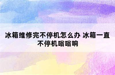 冰箱维修完不停机怎么办 冰箱一直不停机嗡嗡响